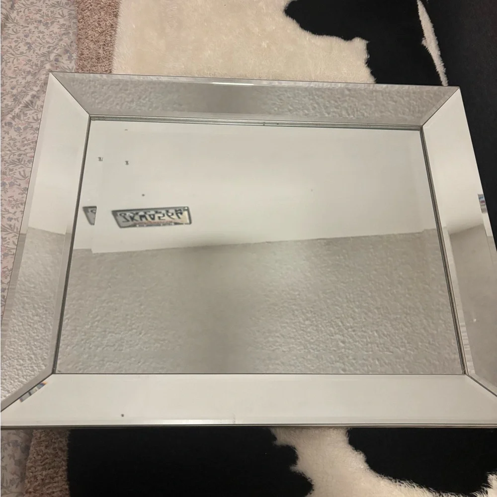 Elegant Silver Wall Mirror
